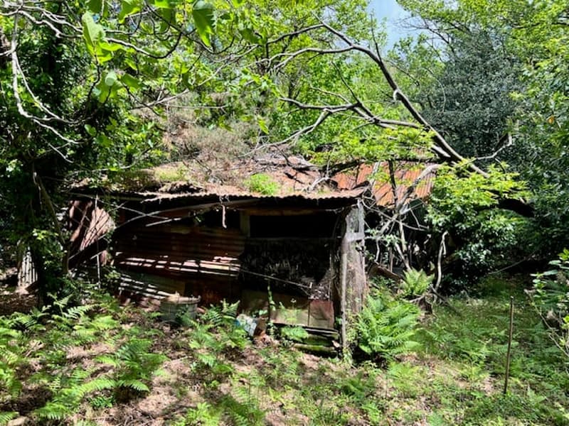 Rustico in posizione tranquilla e molto soleggiata con grande terreno e vista lago (17)