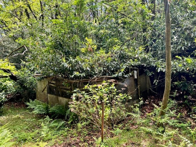 Rustico in posizione tranquilla e molto soleggiata con grande terreno e vista lago (18)