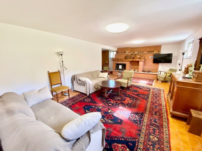 Villa grande e curata in posizione tranquilla e soleggiata con piscina privata e vista da sogno sul lago. (13)