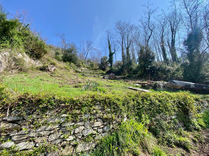 Villa da ristrutturare completamente in una posizione soleggiata e tranquilla con una vista lago da sogno vicino alla spiaggia (11)