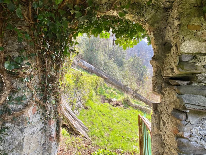 Villa da ristrutturare completamente in una posizione soleggiata e tranquilla con una vista lago da sogno vicino alla spiaggia (8)