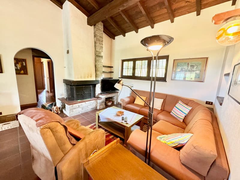 Fireplace, two couches, coffee table, center lamp, side table, paintings, tv, shelves