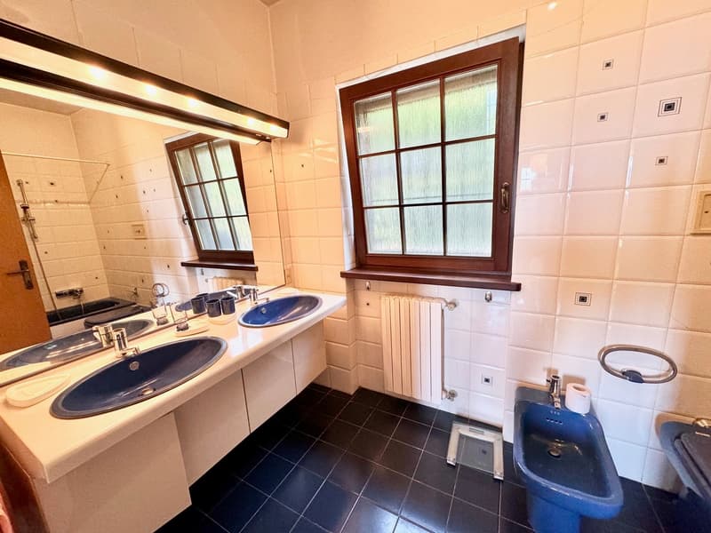 white tiles, blue sinks, shower, toilet, radiator