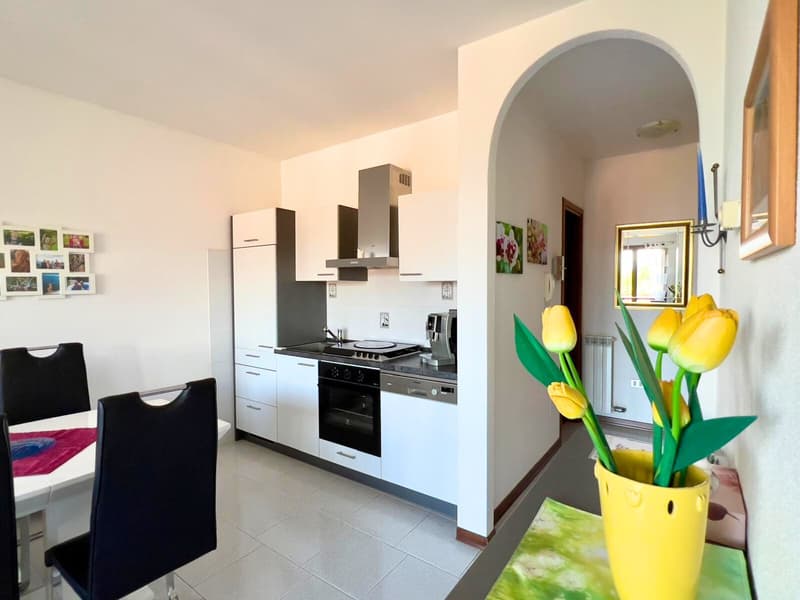 Modern kitchen with white cabinets, black appliances including a stove and dishwasher, tiled floor, and a vase of yellow tulips on the counter.