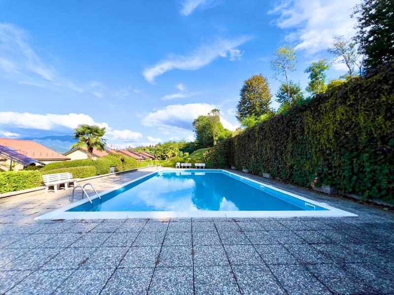 Large outdoor swimming pool surrounded by lush greenery, including palm trees and other foliage. The pool is situated in a residential area with houses visible in the background. The pool deck is made of stone tiles and there are white lounge chairs near
