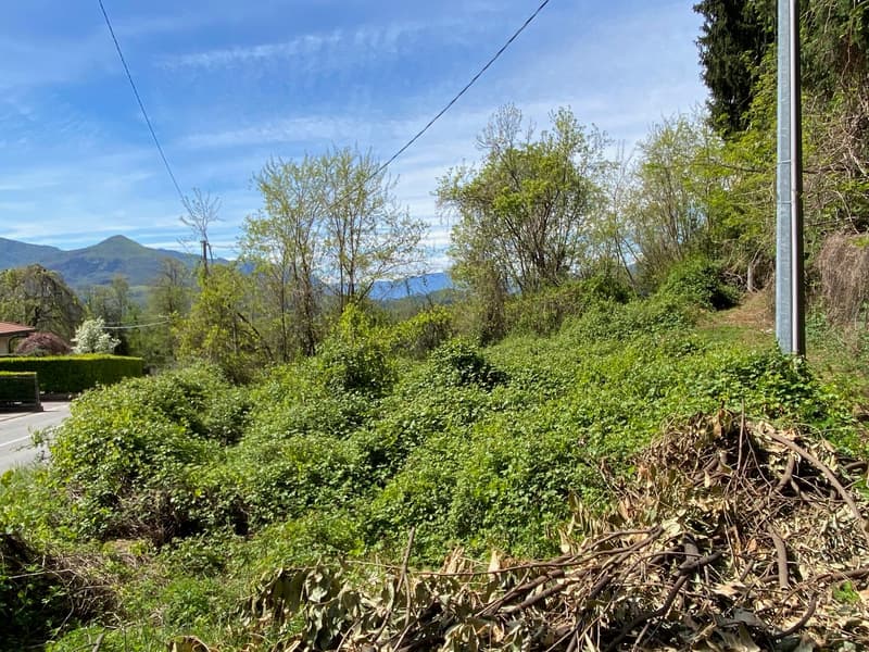 Bella area edificabile in posizione soleggiata e tranquilla con vista mozzafiato sul lago (3)
