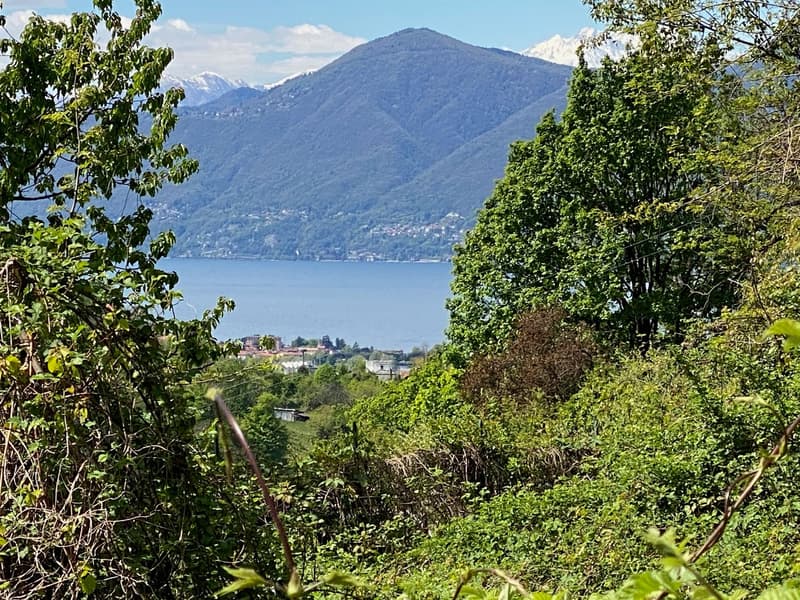 Bella area edificabile in posizione soleggiata e tranquilla con vista mozzafiato sul lago (5)