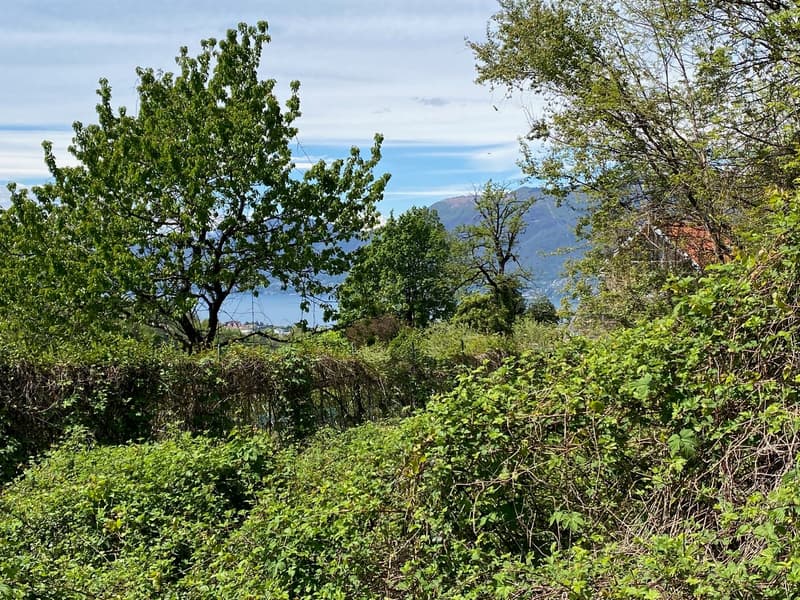 Bella area edificabile in posizione soleggiata e tranquilla con vista mozzafiato sul lago (2)