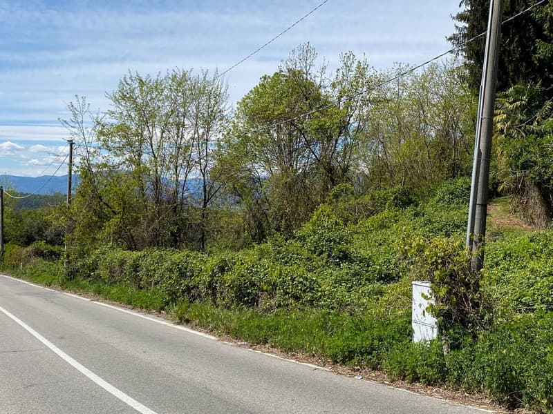Bella area edificabile in posizione soleggiata e tranquilla con vista mozzafiato sul lago (4)