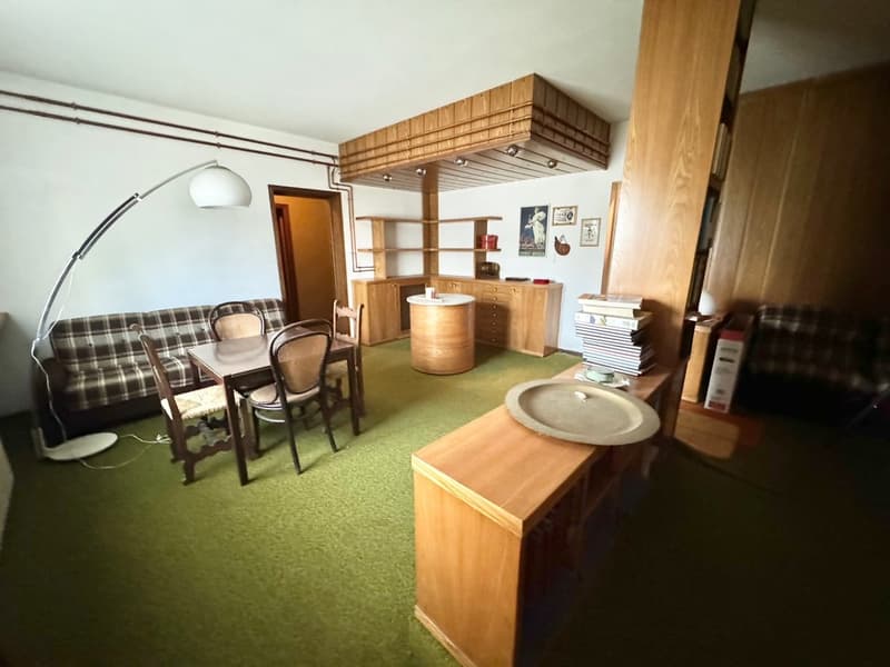 The image shows a studio apartment with a living/dining area, a kitchenette, and storage units. The room has a plaid sofa, a dining table with chairs, and a wooden shelving unit with various decor items. The kitchenette area includes a countertop with a d