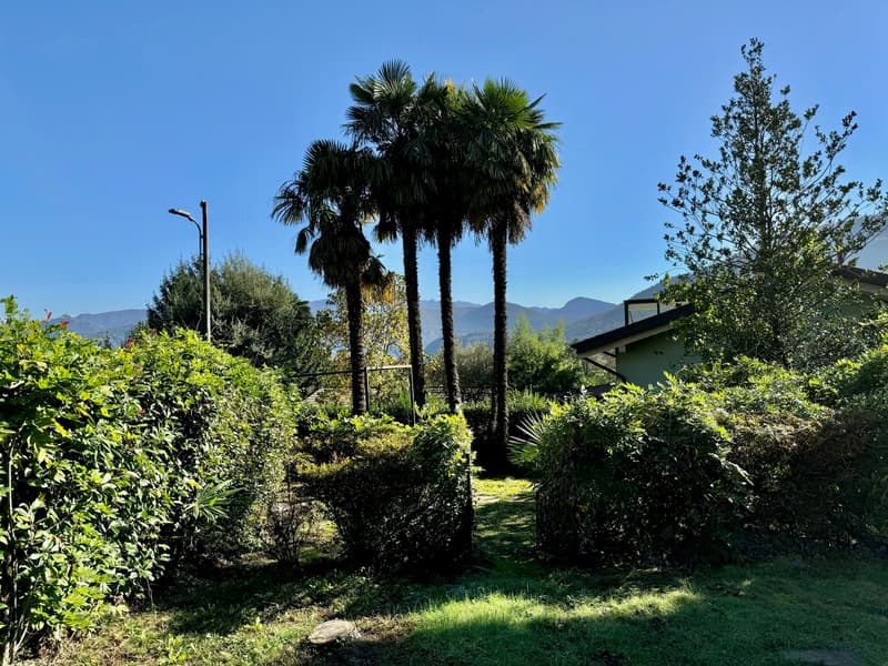 The image shows a lush, tropical garden with palm trees, green foliage, and a paved path. The garden appears to be surrounded by a residential building or structure, suggesting it may be a private or community garden space. The blue sky in the background