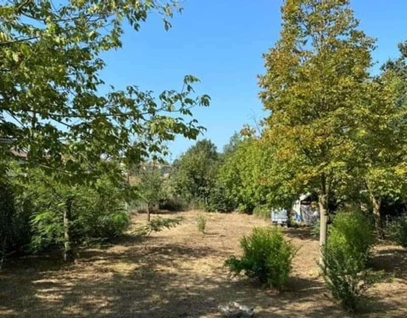 Chalet in quiet and sunny location with beautiful plot (14)