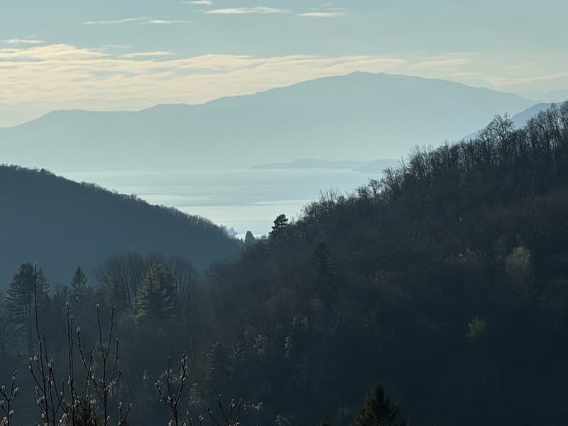 hilly landscape with a view of the lake and mountains