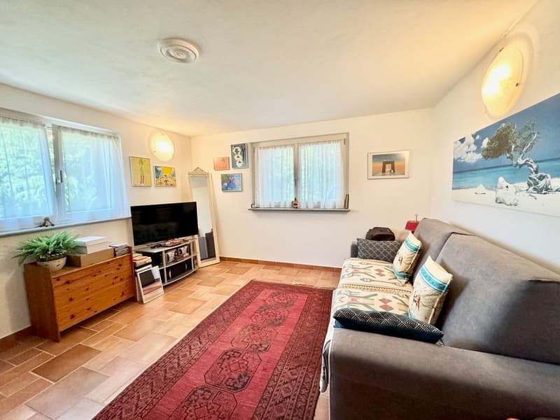 Spacious living room with tile flooring, white walls, large windows, TV stand, couch, and decorative rug