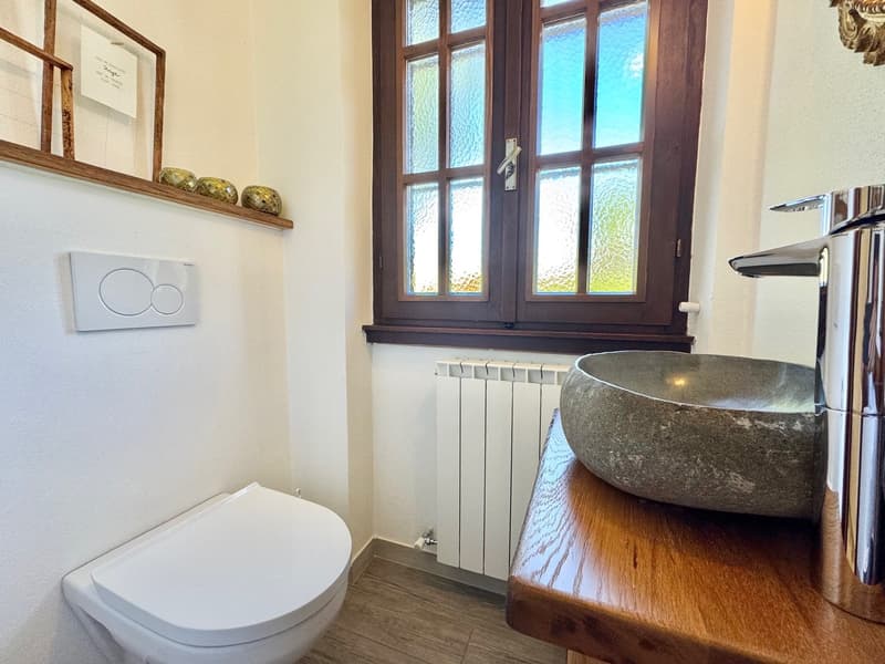 Maison mitoyenne complètement rénovée dans un endroit calme et ensoleillé, à quelques pas du lac (11)