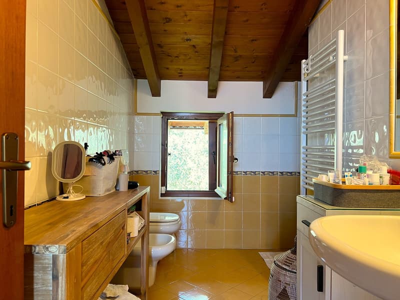 Bella villa immersa nella natura con garage e vista sul Lago Maggiore e le montagne circostanti (13)