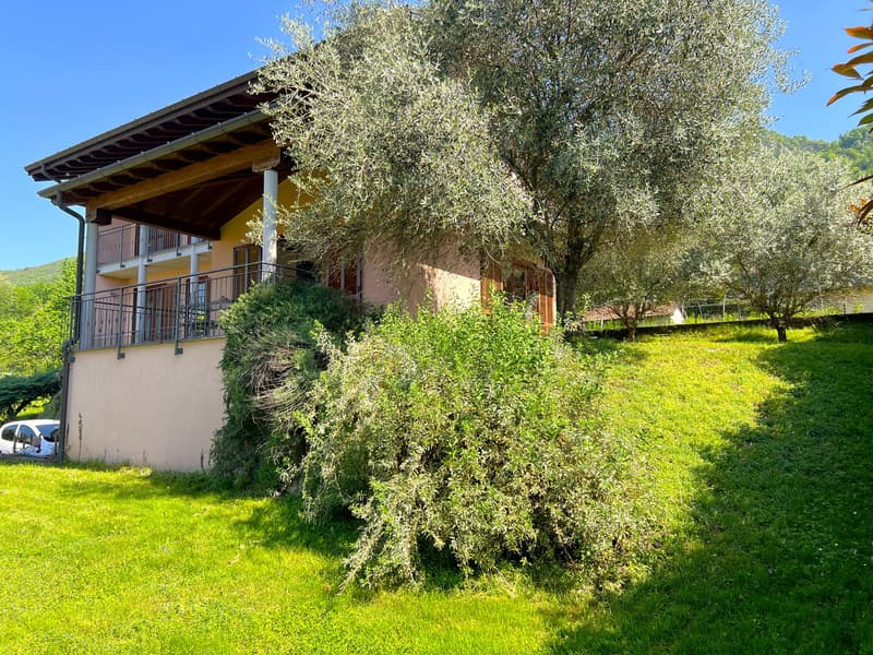 Bella villa immersa nella natura con garage e vista sul Lago Maggiore e le montagne circostanti (22)