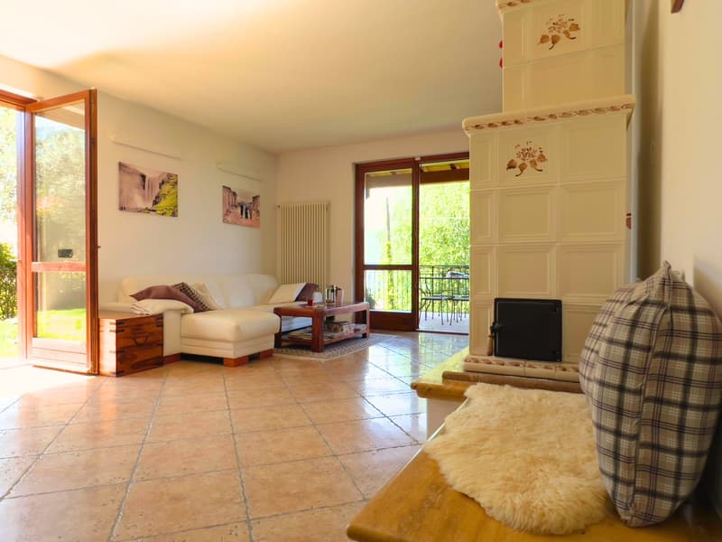 Bella villa immersa nella natura con garage e vista sul Lago Maggiore e le montagne circostanti (4)