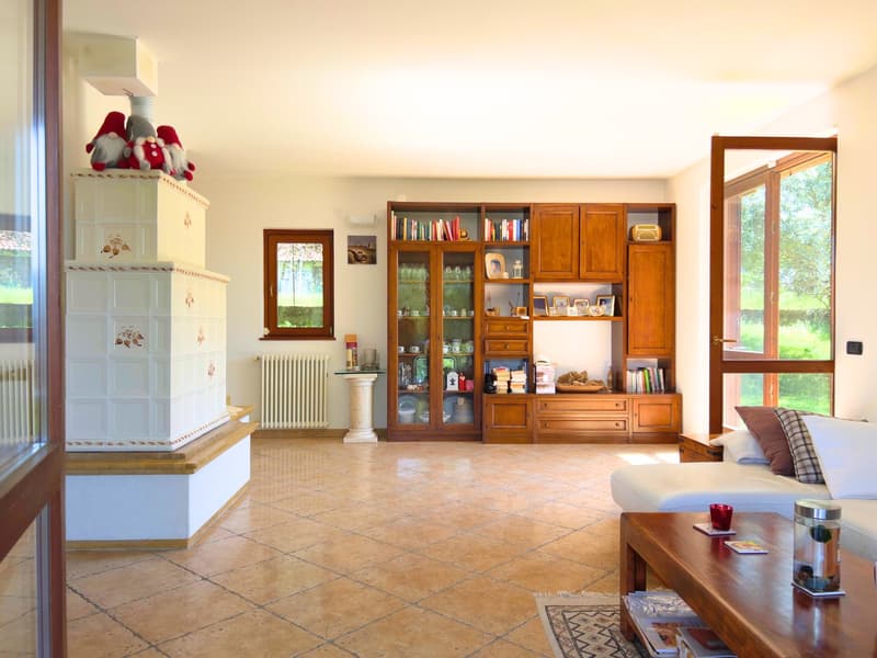 Bella villa immersa nella natura con garage e vista sul Lago Maggiore e le montagne circostanti (3)