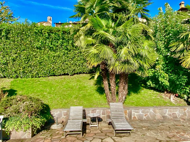 outdoor area with wooden chairs, table, stone path, green grass, palm tree, and hedge, clear blue sky