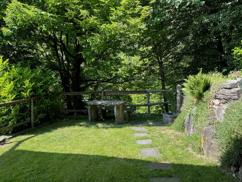 small grassy garden, stone table and bench, stone path, wooden fence, trees, plants