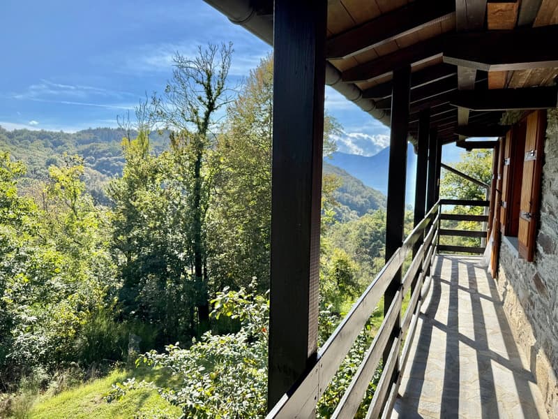 Terrace with wooden railings, stone flooring, surrounded by lush greenery, with a view of the mountains and trees