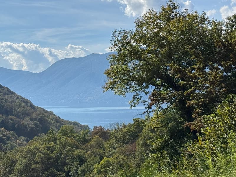 mountains, lake, forest, clear blue sky