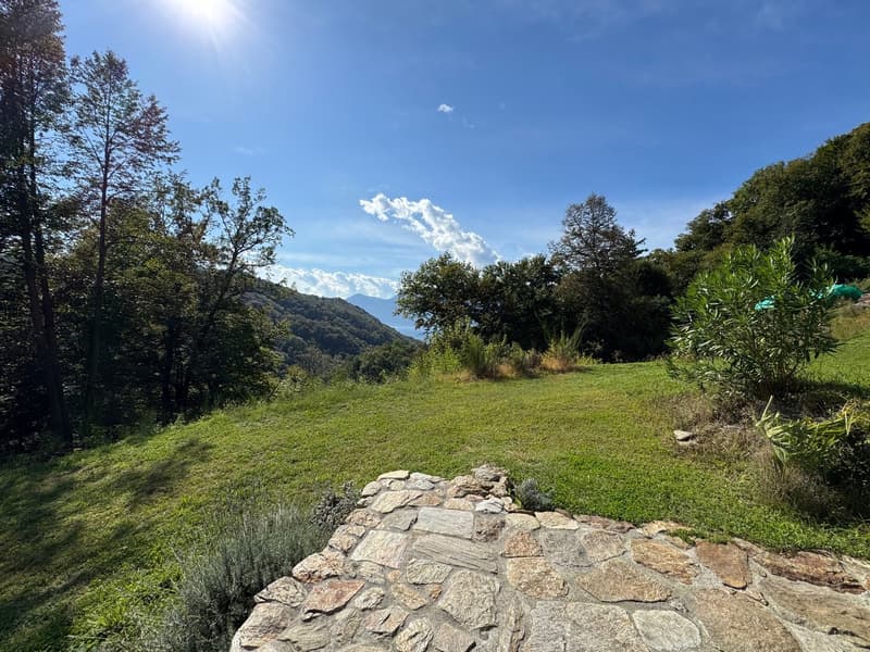 Stone path leading to a view of grassy slopes, trees, and mountains in the distance