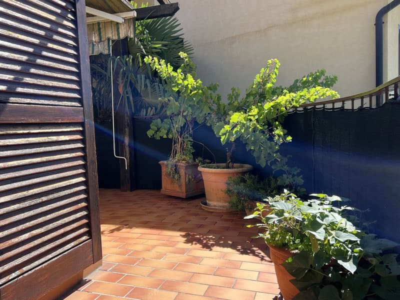 Tiled floor, wooden door, various potted plants, fence, sunny spot