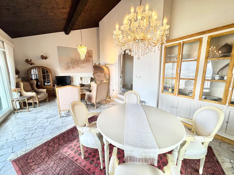 Villa très bien entretenue dans un endroit calme et très ensoleillé avec de grandes terrasses et une vue imprenable sur le lac (7)