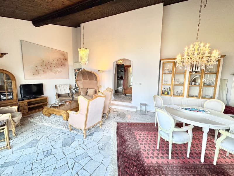 Villa très bien entretenue dans un endroit calme et très ensoleillé avec de grandes terrasses et une vue imprenable sur le lac (2)