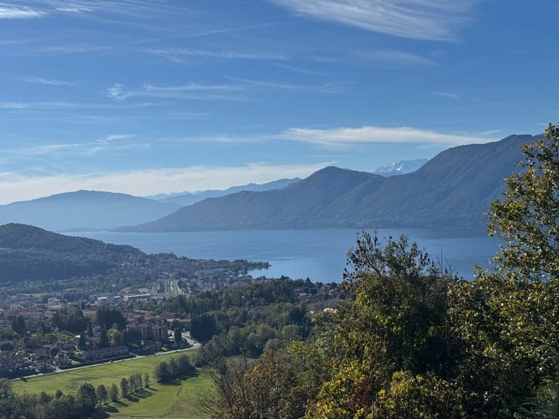 green meadow, mountain lake, town with buildings, green trees