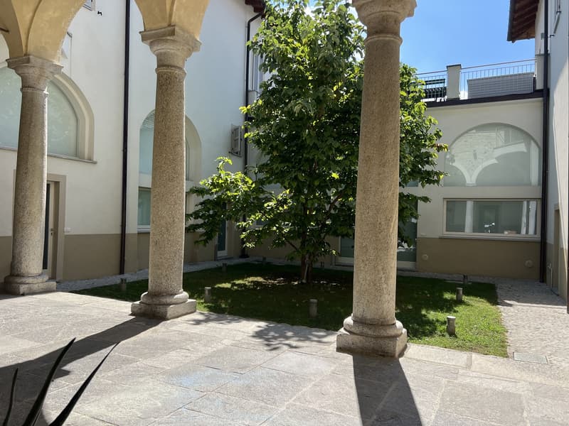 cobblestone walkway, large pillars, courtyard, tree, grass, windows