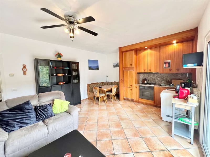 Carefully furnished three-room apartment with large terrace, garden and condominium pool (4)