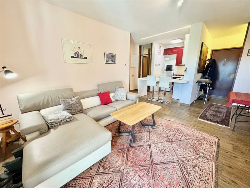 Three-room apartment with garden, large terrace and lake view (5)