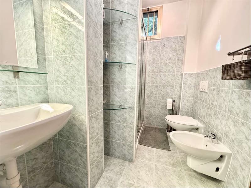 Three-room apartment with garden, large terrace and lake view (11)