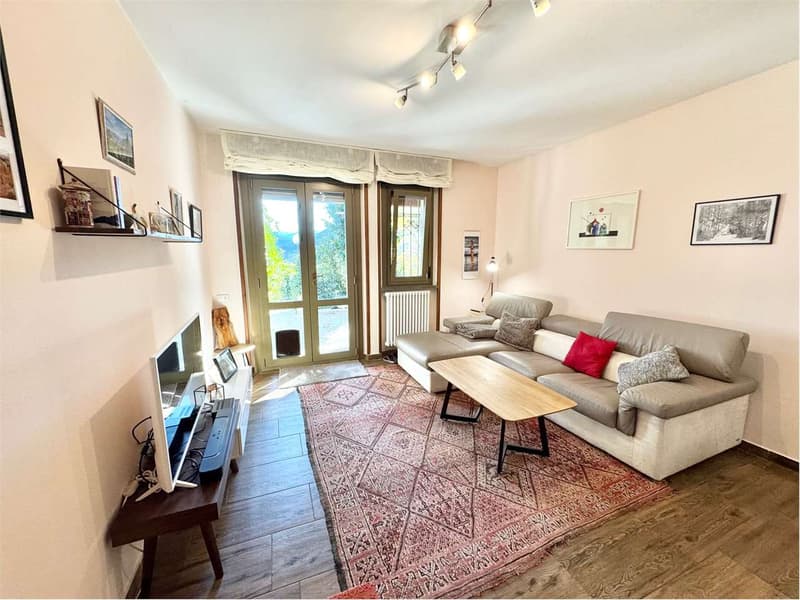 Three-room apartment with garden, large terrace and lake view (2)