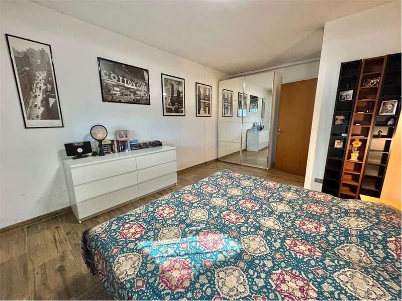 Three-room apartment with garden, large terrace and lake view (9)