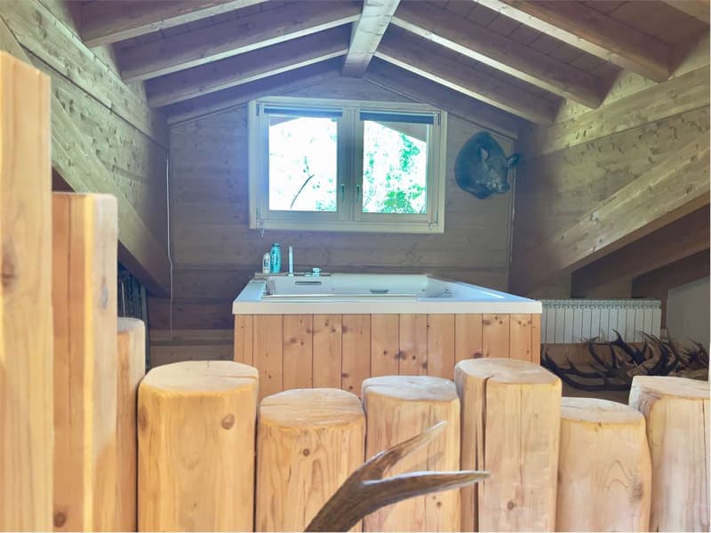 Modern semi-detached chalet of high quality in a quiet and sunny location (12)