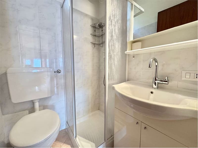 Carefully furnished 2-room apartment with terrace and stunning lake view (8)