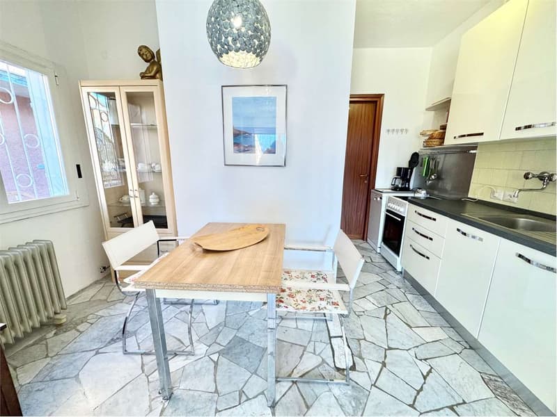 Carefully furnished 2-room apartment with terrace and stunning lake view (5)