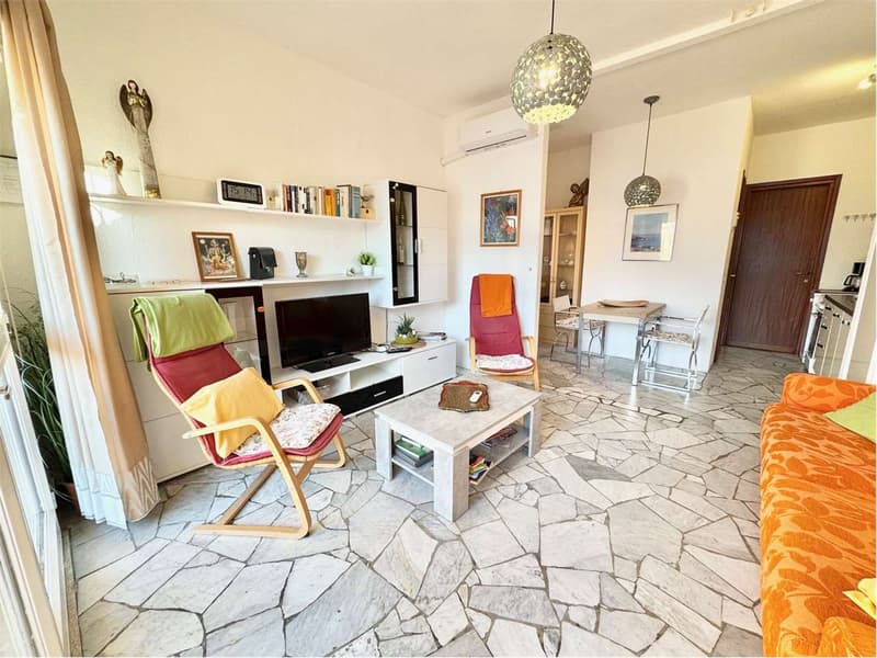 Carefully furnished 2-room apartment with terrace and stunning lake view (3)