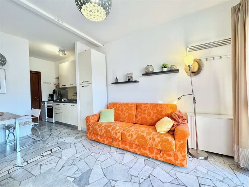 Carefully furnished 2-room apartment with terrace and stunning lake view (4)