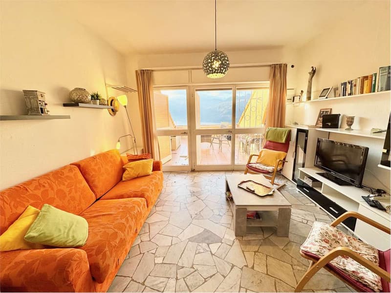 Carefully furnished 2-room apartment with terrace and stunning lake view (2)