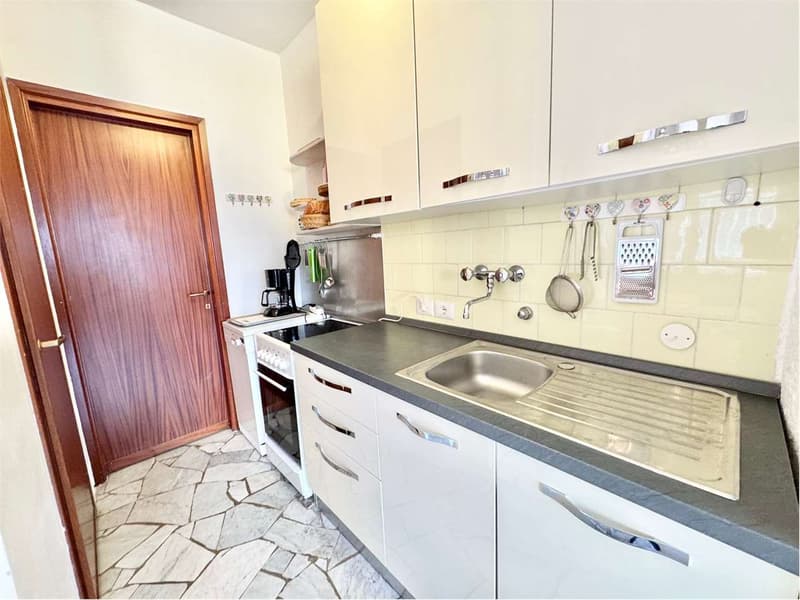 Carefully furnished 2-room apartment with terrace and stunning lake view (6)