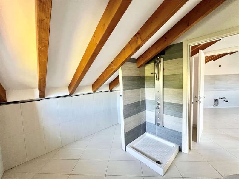 Mansard apartment completely renovated with large terrace (13)