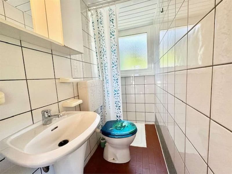 Belle maison de vacances avec grande terrasse, jardin et parking (12)