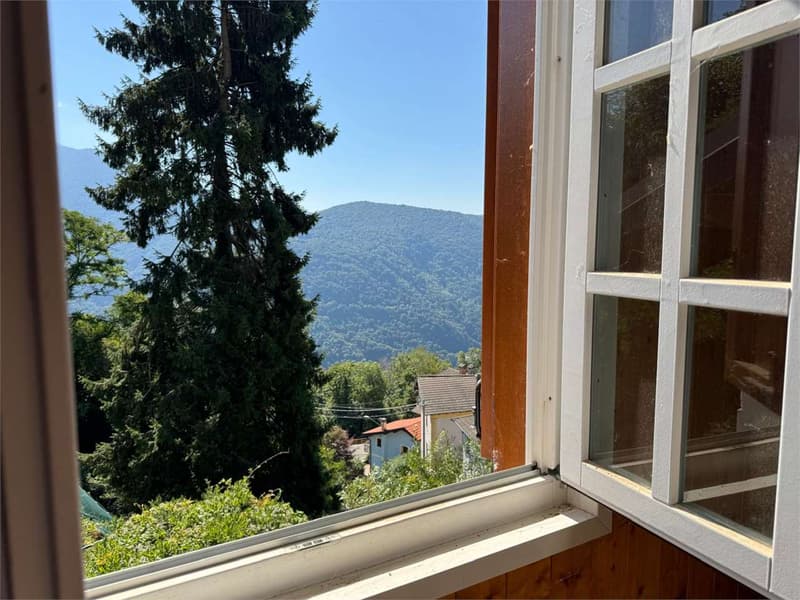 Maison individuelle avec beau jardin, dans un emplacement calme (12)