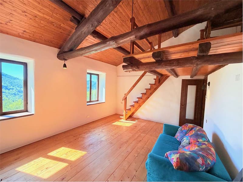 Beautiful country house in a sunny and reserved position with (11)
