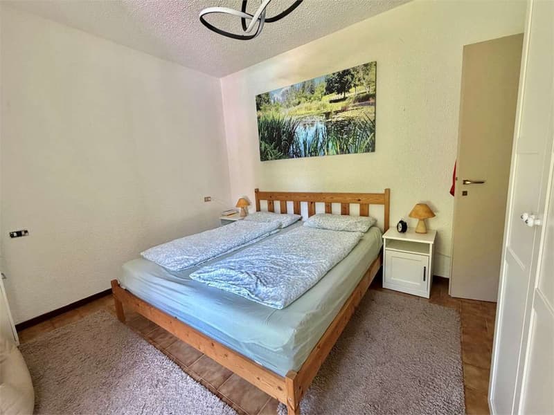 Schönes Zweizimmerapartment mit Terrasse, Pool und Garage (4)